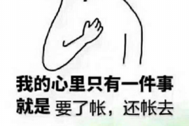 营口企业清欠服务